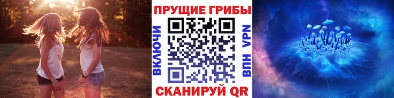 Галлюциногенные грибы ЛСД дарк нет Telegram Межгорье